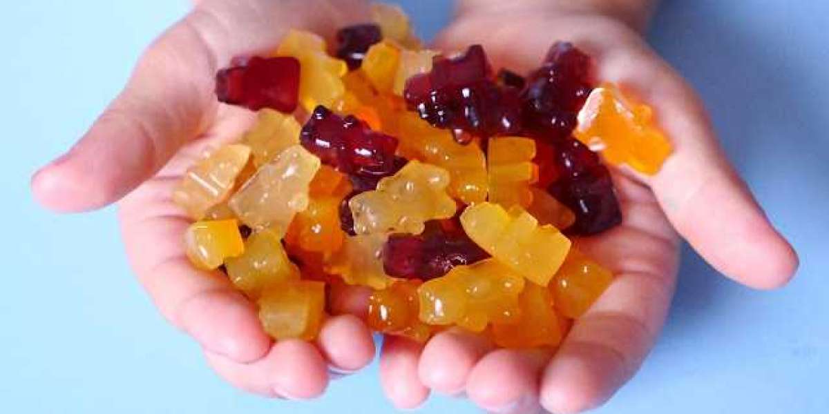 https://www.mid-day.com/lifestyle/infotainment/article/official-website-blue-vibe-cbd-gummies-reviews-controversial-or-l