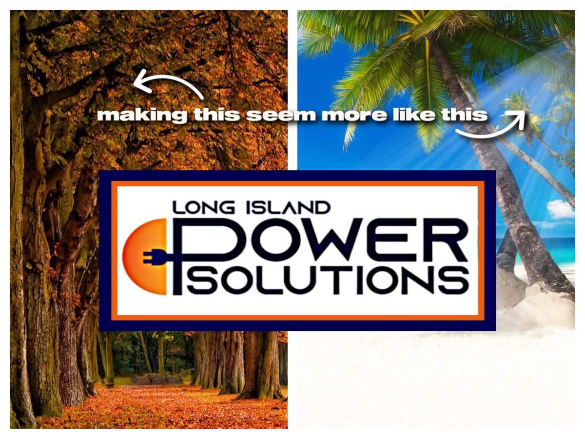 LONG ISLAND POWER SOLUTIONS Profile Picture