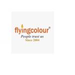 FlyingColour Business Setup Profile Picture