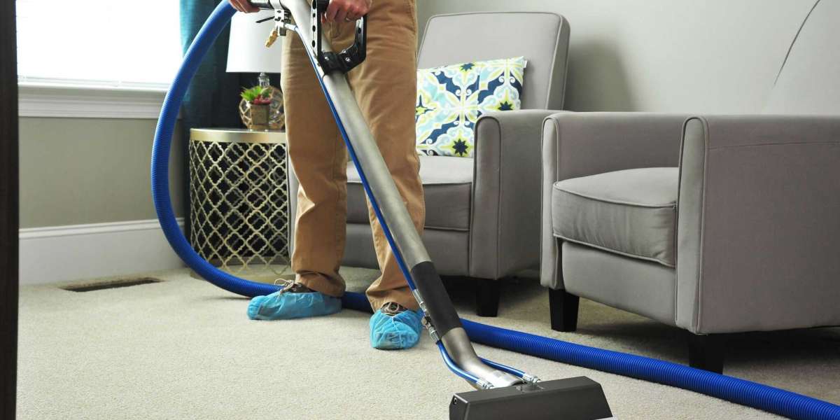 Carpet Cleaner Rental