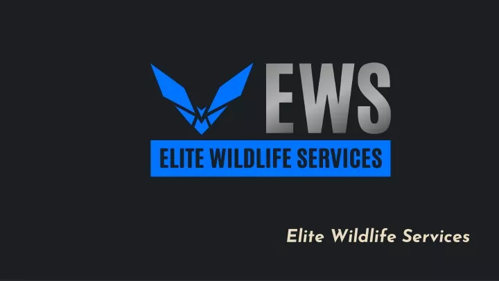 PPT - Bat Removal Near Me - Elite Wildlife Services PowerPoint Presentation - ID:12471951