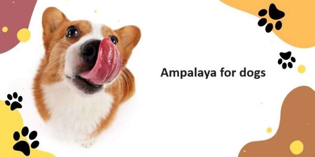 Can Dogs Eat Ampalaya (Bitter Melon) in detail?