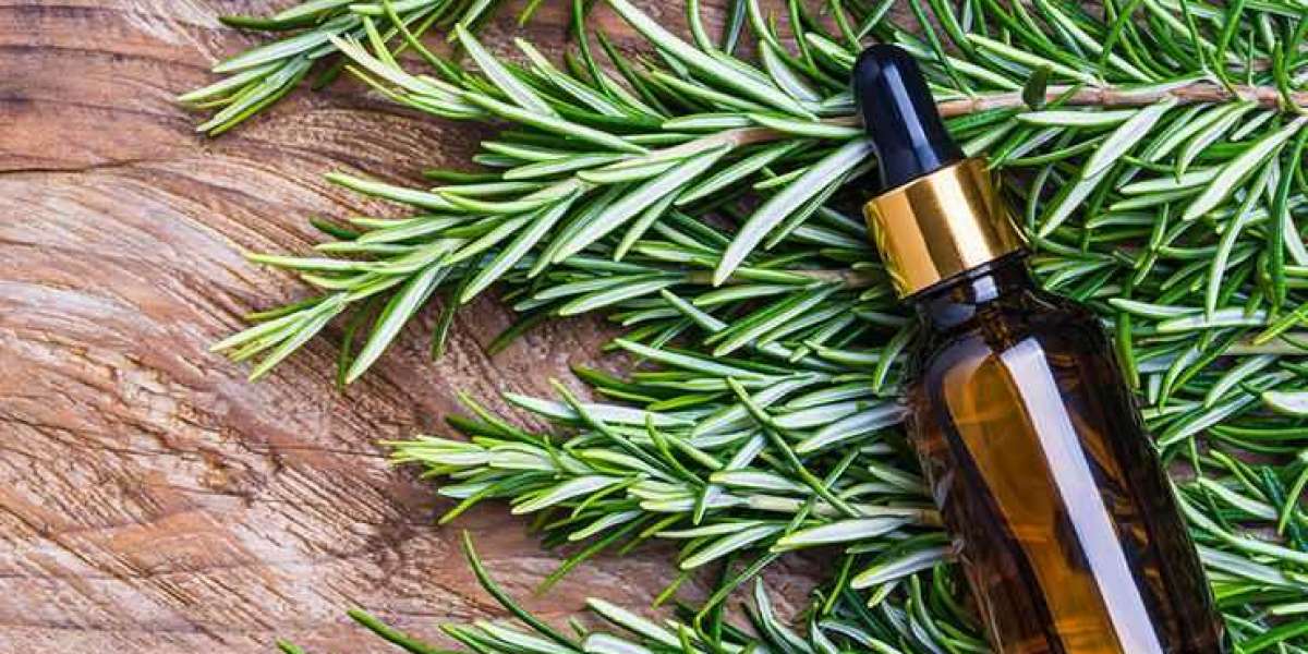 Rosemary-Infused Homemade Skin Moisturizer