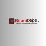 bismilsoft Profile Picture