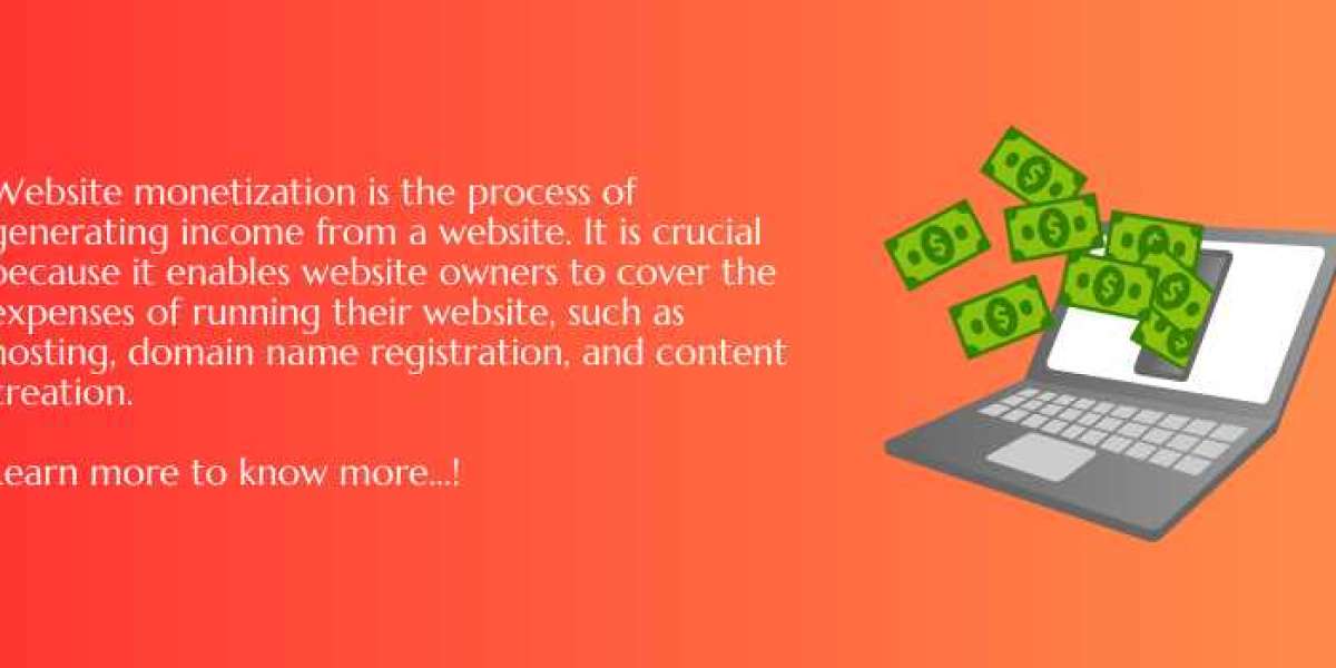 Learn to Turn Website Traffic into Revenue Rapidly: Guide Of Strategies and Methods for Monetizing Website