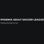 Phoenix Adult Soccer League Profile Picture