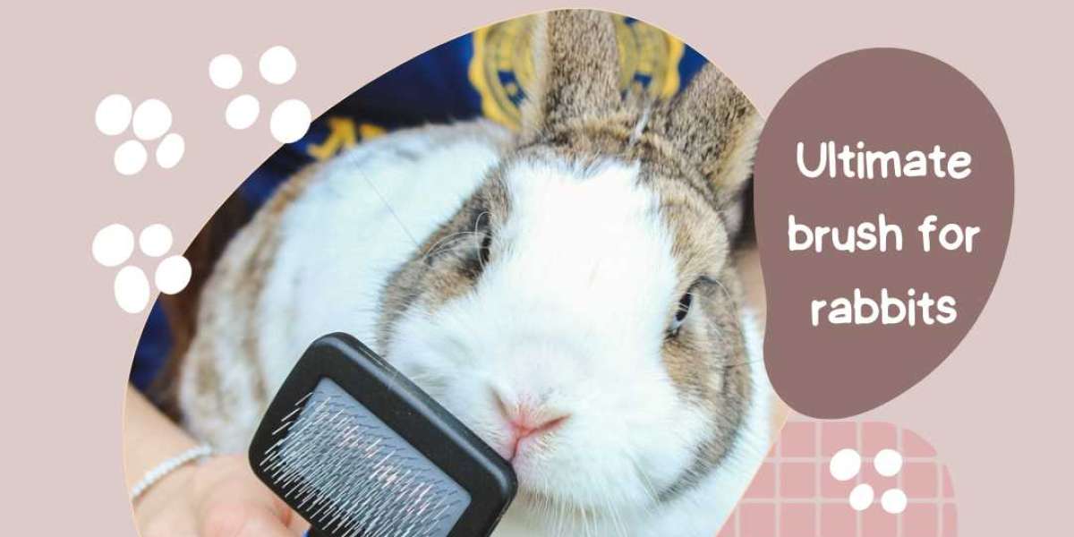 Best Brush For Rabbits - Bunny Supplyco