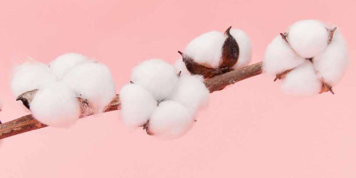 The Future of CBOT Cotton Price Prediction