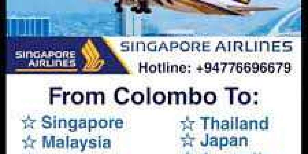 Fly with Confidence: Airlines Phone Numbers for Immediate Support