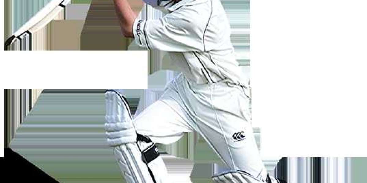 Elevate Your Game with SS Premium Cricket Gear: A Comprehensive Guide to Online Shopping