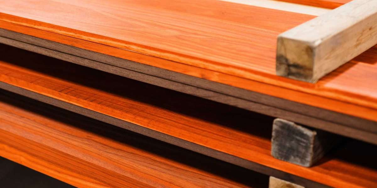 Exploring the World of Exotic Lumber Suppliers