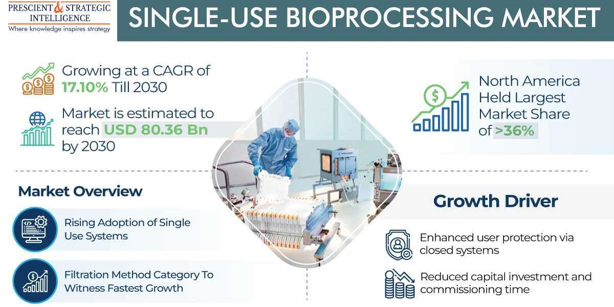 Single-Use Bioprocessing Industry Analysis, Growth and Demand Forecast to 2030