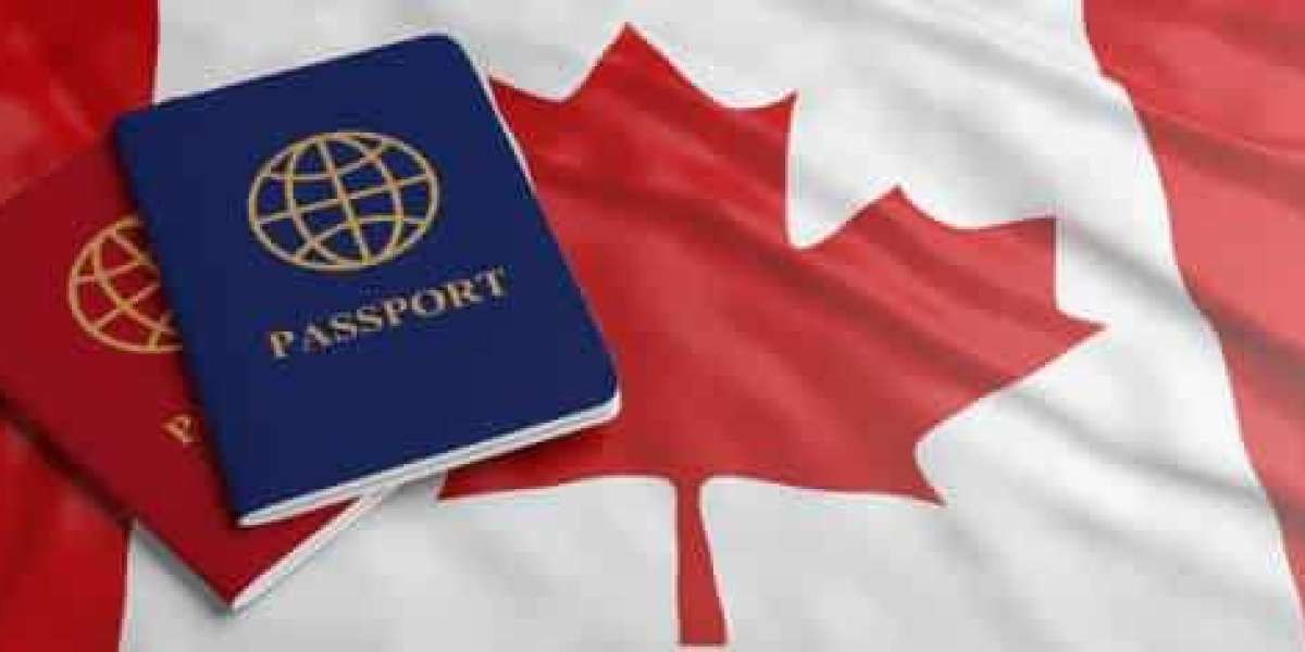 Immigration Lawyer Toronto Your Bridge to a New Beginning