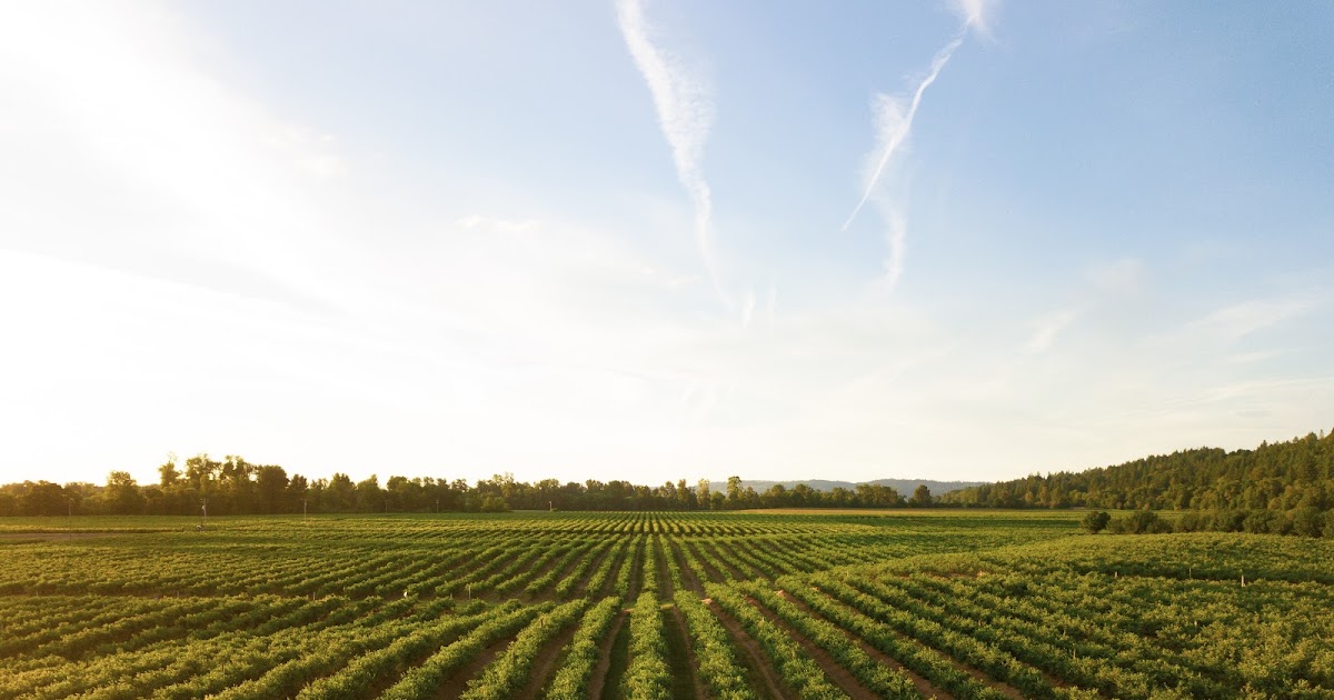 Nutrient Cycling for Sustainable and Resilient Agriculture