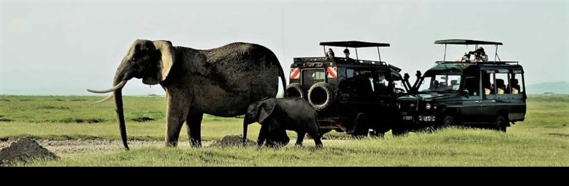 African Memorable Safaris Cover Image