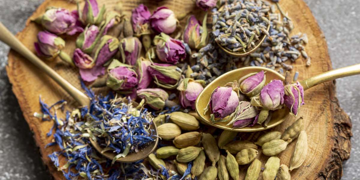 Best Herbs for Memory and Focus That Help Dementia Patients