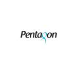 Pentagon Information Technology Profile Picture