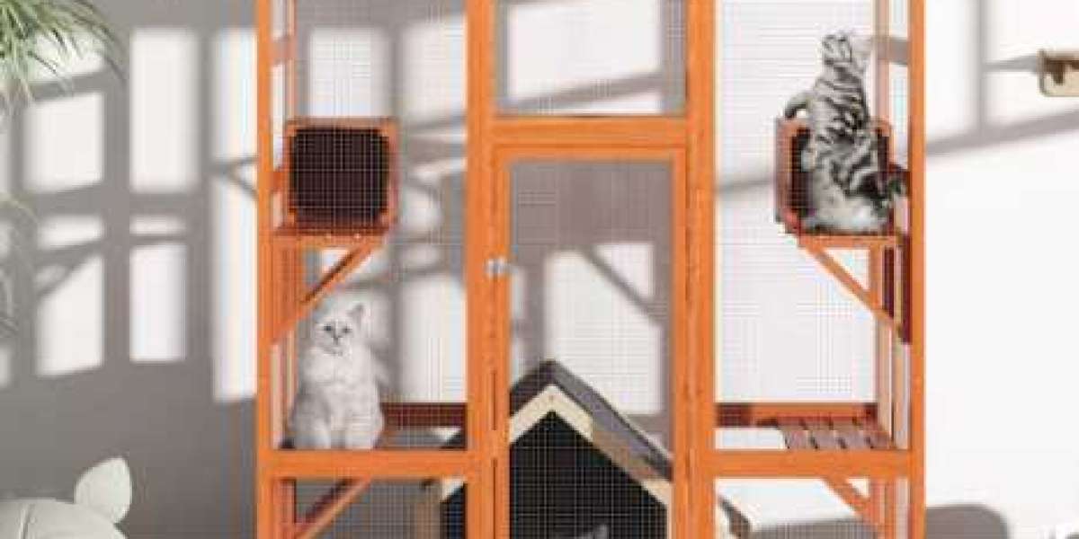 Enhancing Home Safety with an Outdoor Cat Enclosure