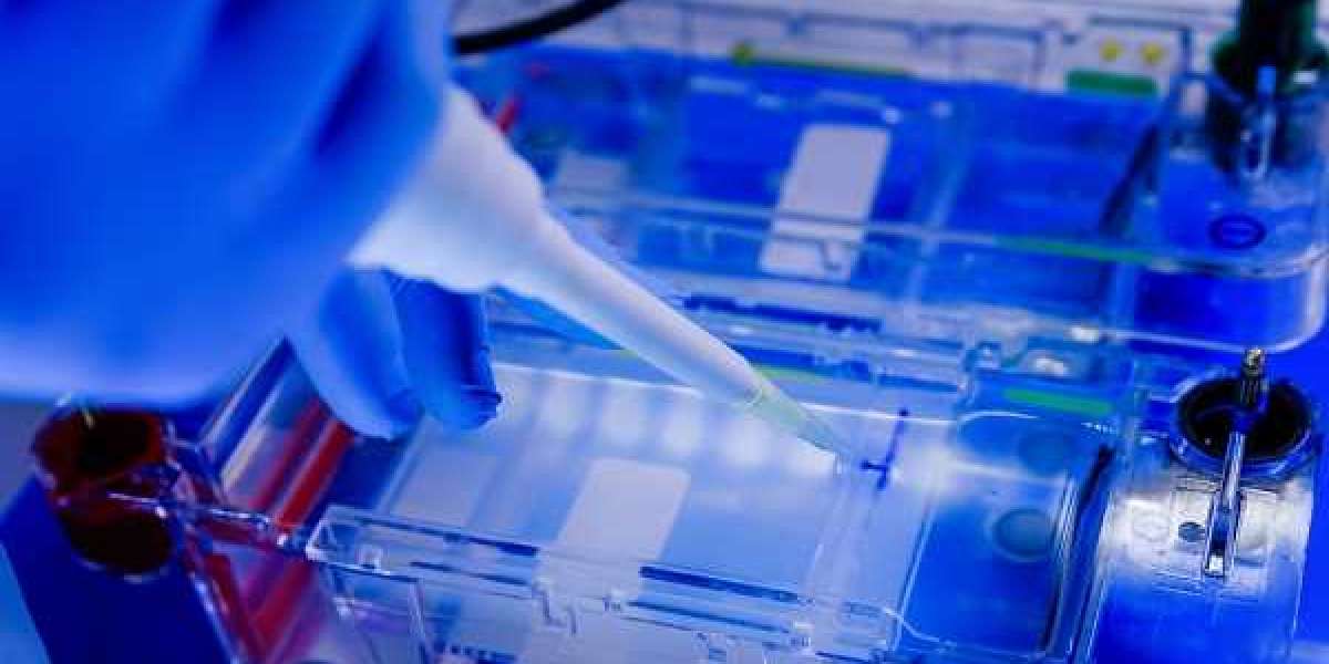 Bioelectric Medicine Market Revolutionary Opportunities, Growth Prospects 2032