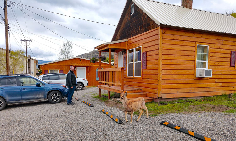 What Makes Yellowstone Park a Must-Visit Natural Wonder?