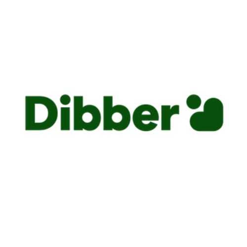 Dibber International Profile Picture