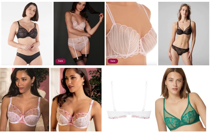 Things You Should Know About Shelf Bra