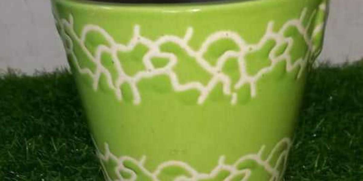 Ceramic Pots Unveiled: A Symphony of Design and Durability