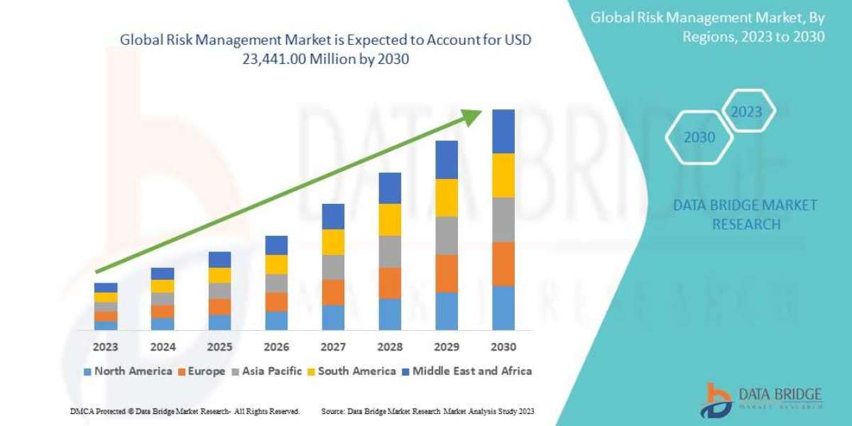 Analyzing the Global Risk Management Market   segment, Drivers, Restraints, Opportunities, and Trends by 2030