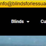 Blindsforless UAE Profile Picture