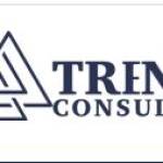 trenity consult Profile Picture