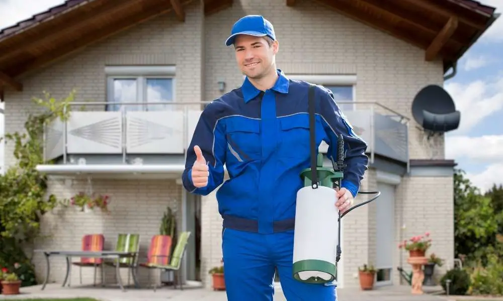 Pest Control Encino: Step-by-Step Instructions for Encino Homeowners