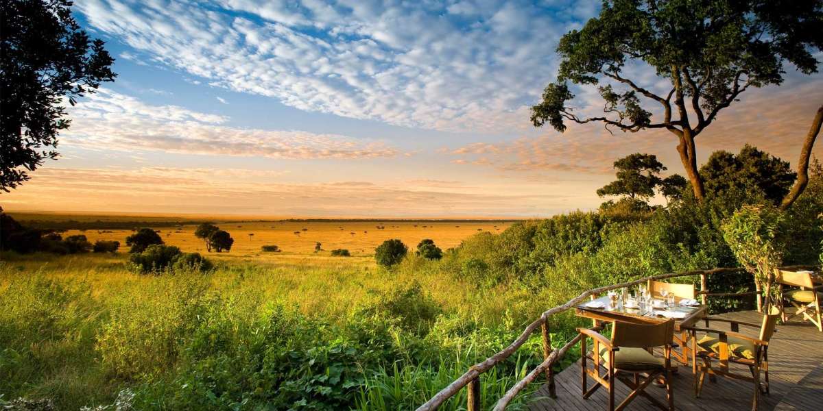 Exploring Kenya's Opulent Wilderness: A Luxury Safari Adventure