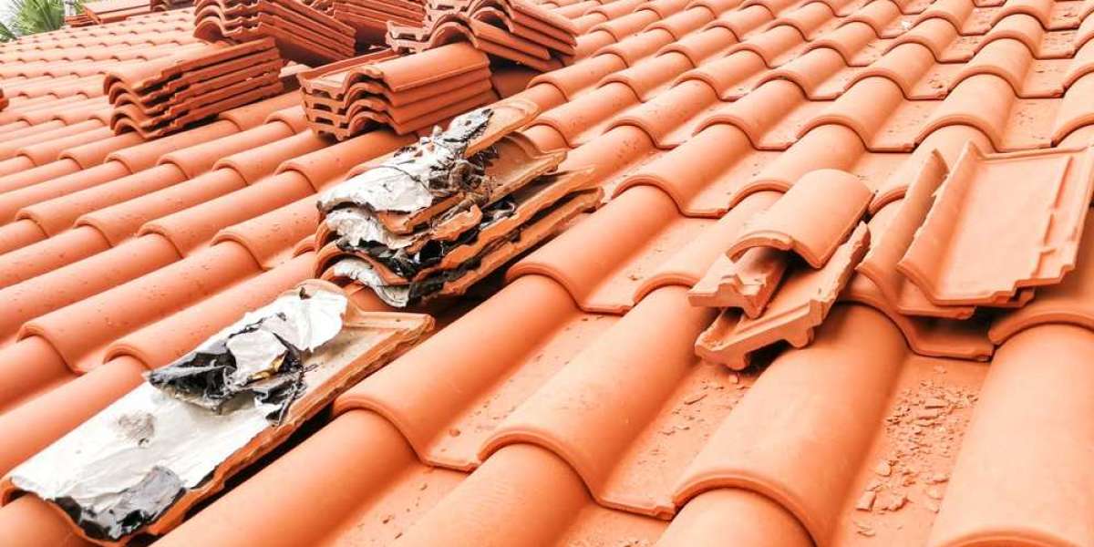 Roof Restoration Adelaide - Horizonline Roofing