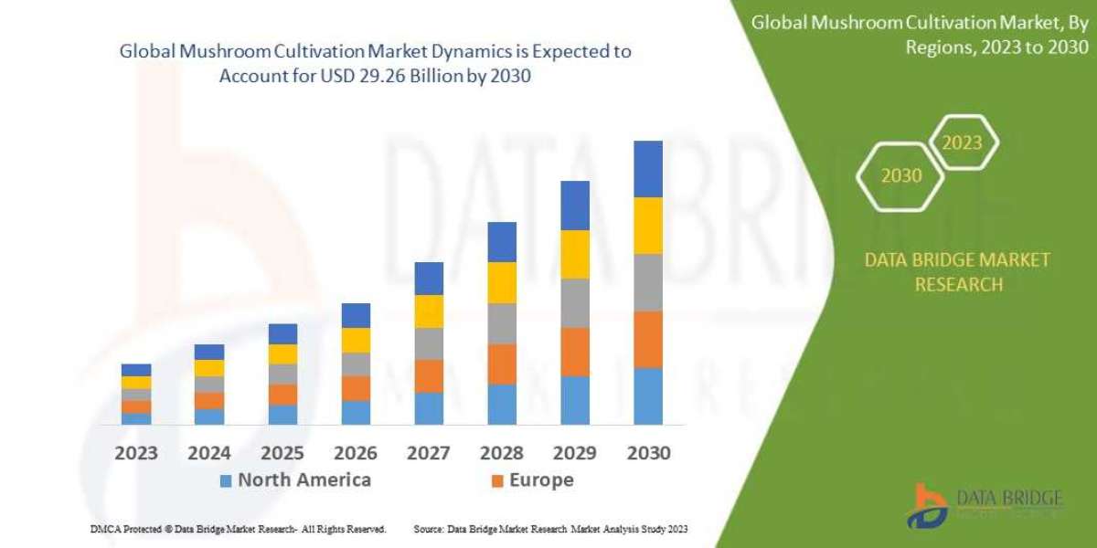 Mushroom cultivation Trends, Share, Industry Size, Growth, Demand, Opportunities and Global Forecast By 2030