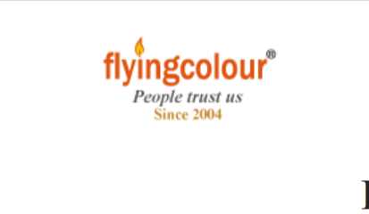 Flyingcolour Business setup Profile Picture