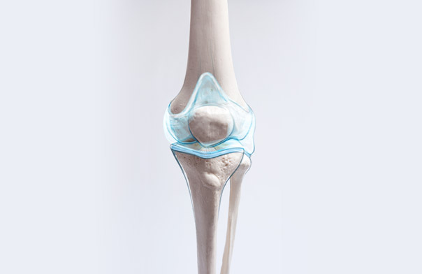 Cartilage Repair | Hip & Knee Orthopaedics