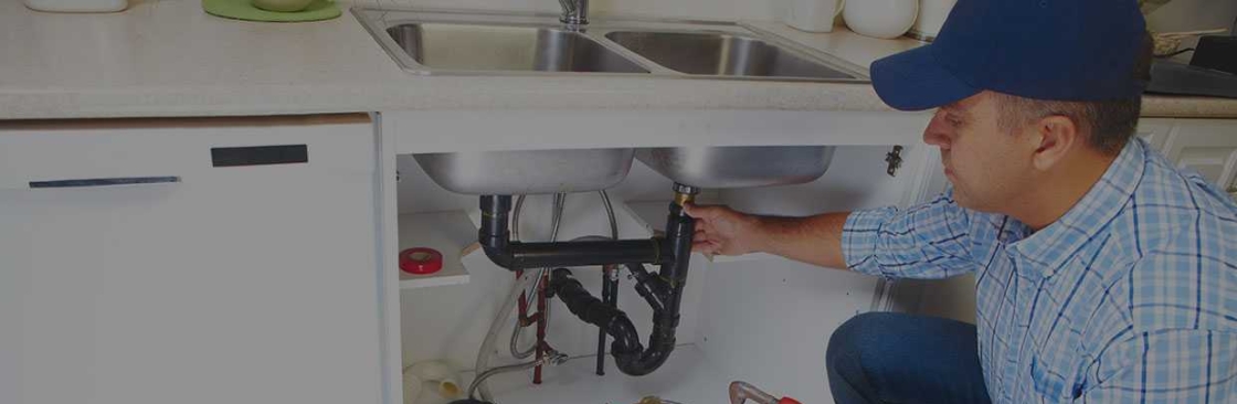 Ray Z Plumbing Cover Image