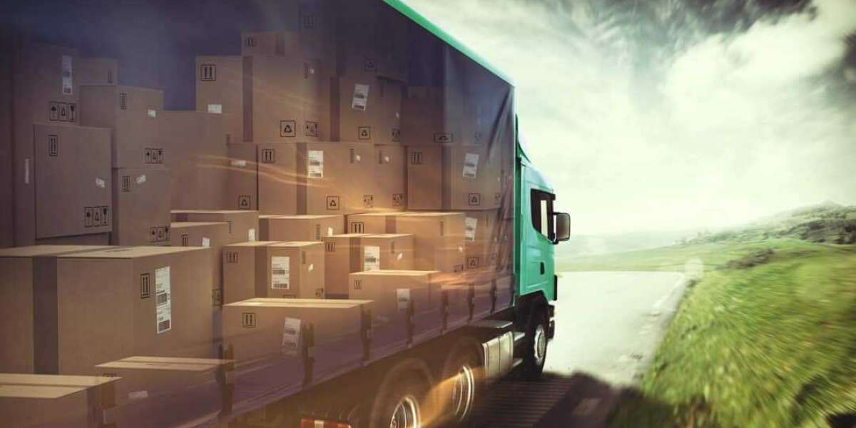 Cargo Liability Insurance: Safeguarding Your Trucking Businesses