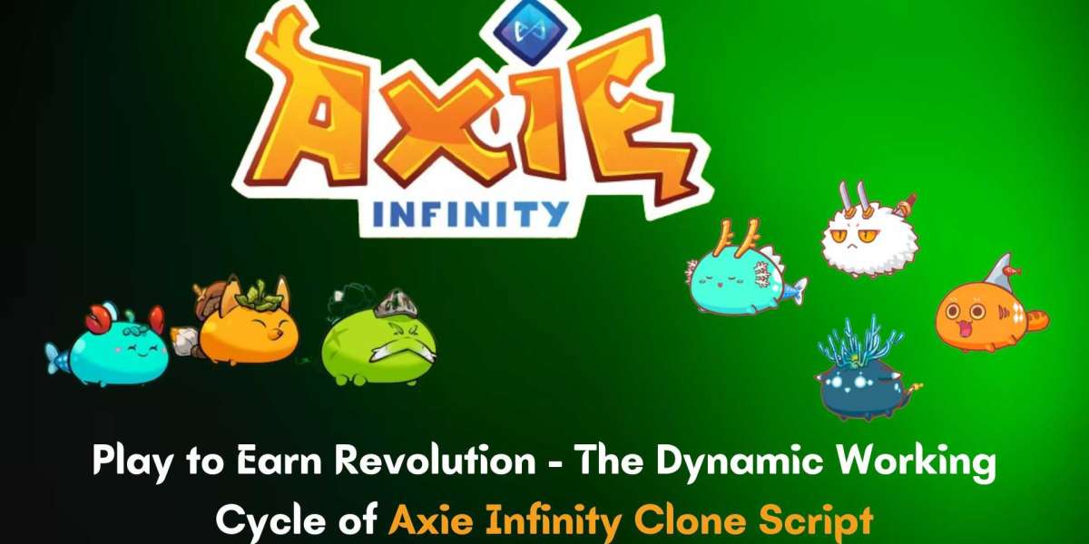 Play to Earn Revolution - The Dynamic Working Cycle of Axie Infinity Clone Script