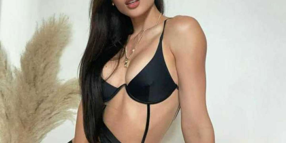 UDAIPUR ESCORTS 910000000000 CASH ON DELIVERY ESCORT SERVICE UDAIPUR