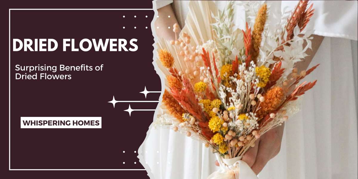 Exploring the Surprising Benefits of Dried Flowers