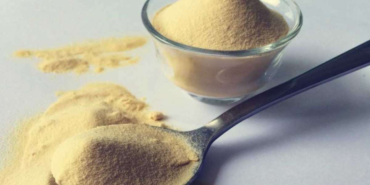 Yeast Extract Market Growth Opportunities Forecast to 2027