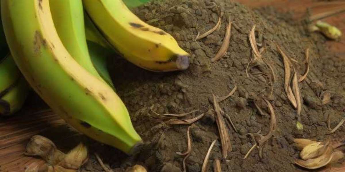 Establishing a Profitable Banana Stem and Leaves Based Organic Fertilizer Manufacturing Plant