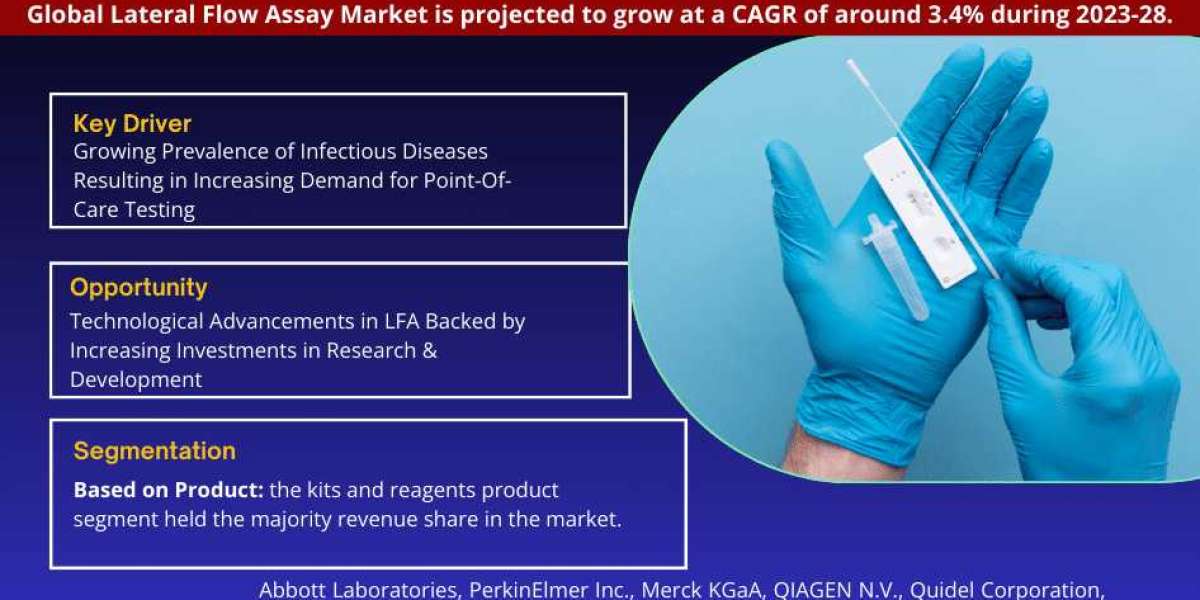 Lateral Flow Assay Market Size and Trends: Analyzing the Landscape for 2028