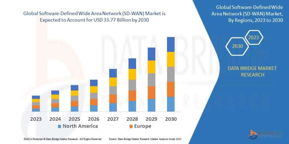 Software-Defined Wide Area Network Market Overview, Growth Analysis, Trends and  Forecast By 2030