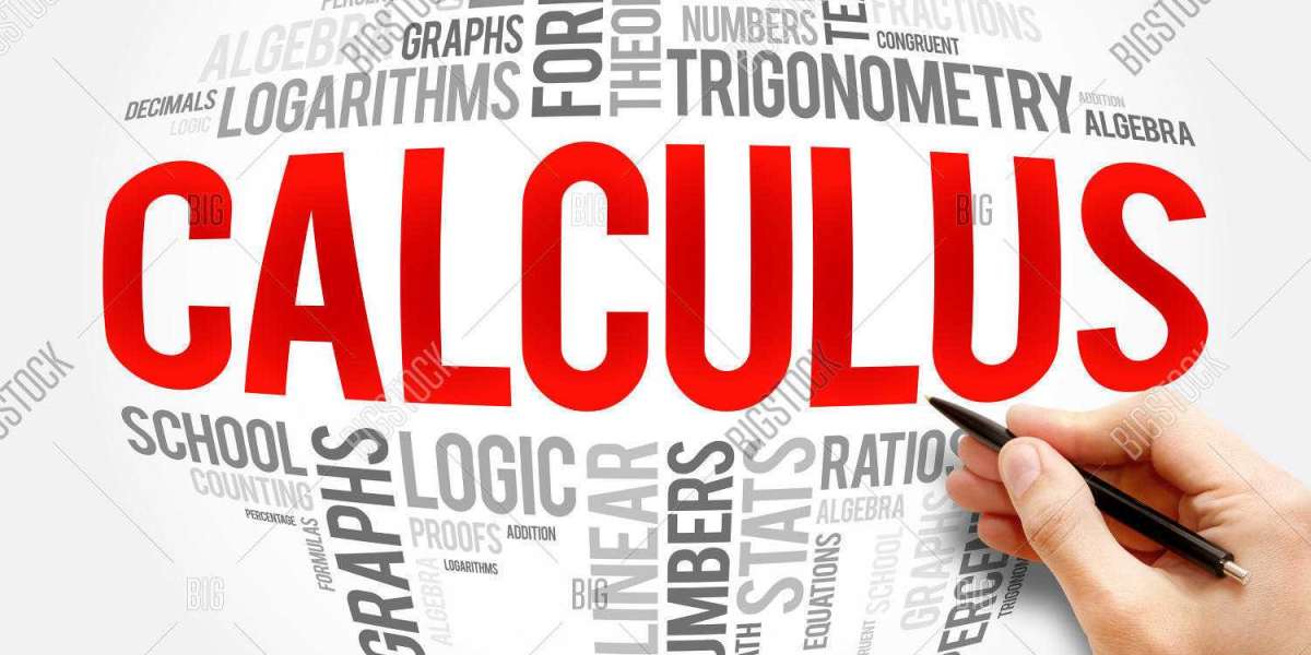 Mastering the Language of Change: How Online Calculus Assignment Help Can Elevate Your Learning Experience