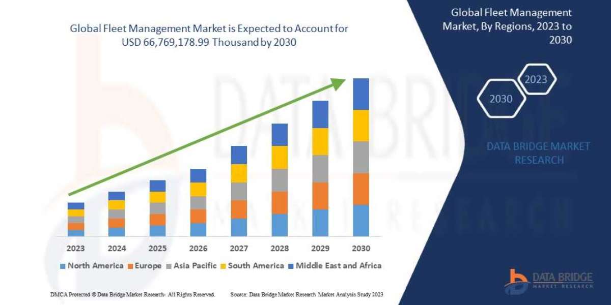 Fleet Management research report: industry analysis, value ,size, share, growth, trends and forecast by 2030