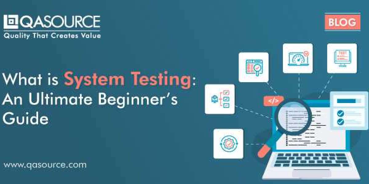 Robustness Verification Through Our System Testing