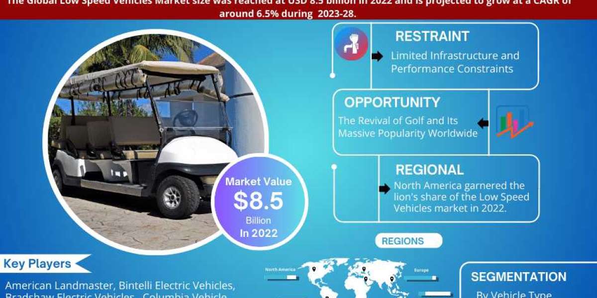 Strategic Insights into Low Speed Vehicles Market: Share, Size, and Forecast 2028