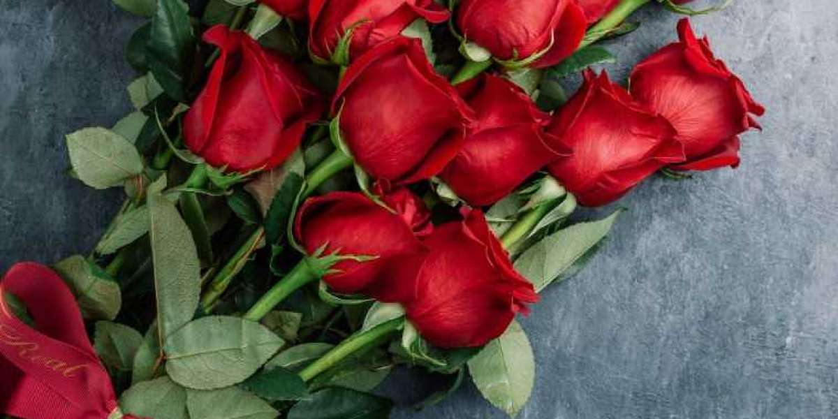 Rose Market Report By Types, Applications, Players And Regions,Gross, Share, Cagr ,Outlook 2033